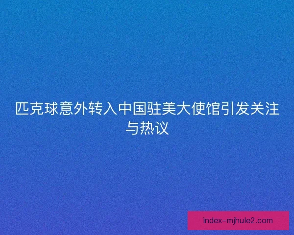 匹克球意外转入中国驻美大使馆引发关注与热议 匹克球意外转入中国驻美大使馆引发关注与热议